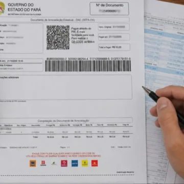 20260630133120-GC00078557-F00313487E Sefa lança serviço online para emissão de DAE de Termo de Apreensão e Depósito (TAD)