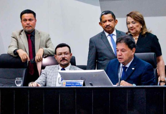 Alepa define Comissão Representativa para recesso de julho