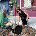 Prefeitura de Belém inicia Plante Aqui com plantio de espécies nativas na travessa Perebebui; meta é 5 mil mudas até o fim de 2026