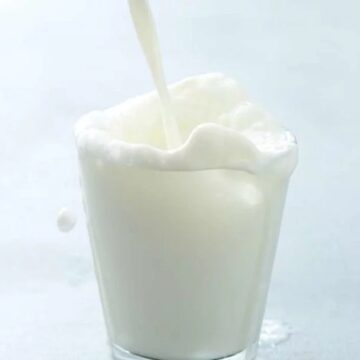 WhatsApp Image 2026-07-02 at 16.02.01 Intolerância à lactose e alergia ao leite não são a mesma coisa; especialista alerta para riscos do autodiagnóstico