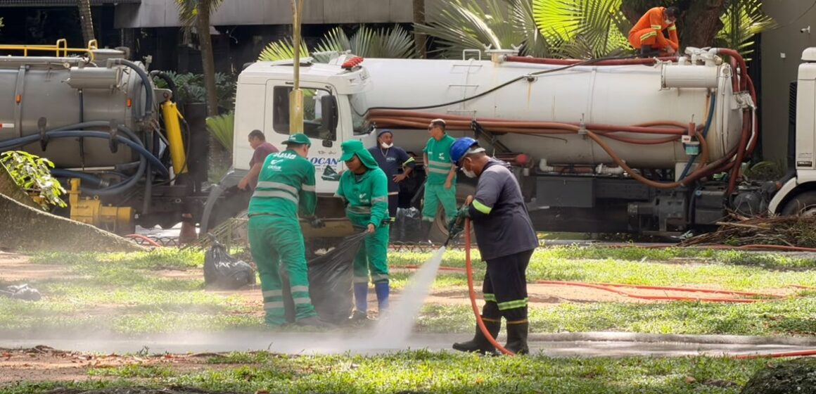 Prefeitura inicia força-tarefa com lavagem diária e ações ambientais para conter proliferação de garças na praça Batista Campos
