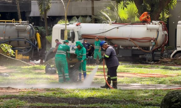 Prefeitura inicia força-tarefa com lavagem diária e ações ambientais para conter proliferação de garças na praça Batista Campos