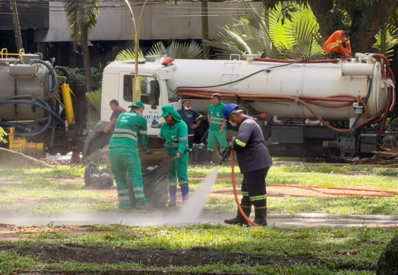 Prefeitura inicia força-tarefa com lavagem diária e ações ambientais para conter proliferação de garças na praça Batista Campos