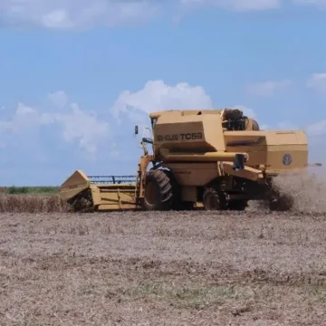 agronegocio Agro enfrenta dívida bilionária e cenário de dificuldades deve continuar