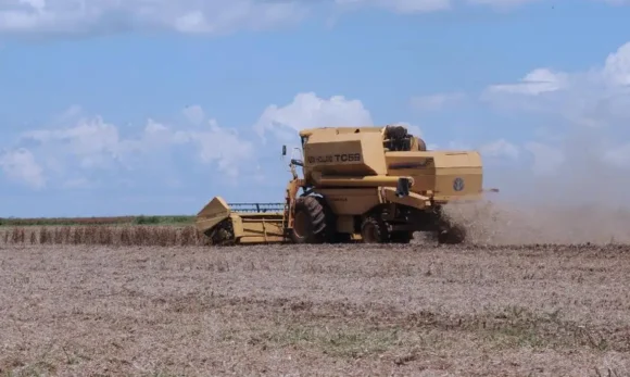 Agro enfrenta dívida bilionária e cenário de dificuldades deve continuar