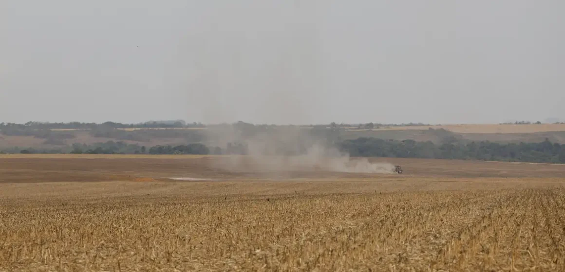 Estudo do WRI Brasil propõe avanços na rastreabilidade socioambiental da soja e da carne