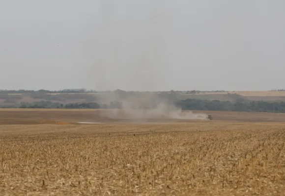 Estudo do WRI Brasil propõe avanços na rastreabilidade socioambiental da soja e da carne