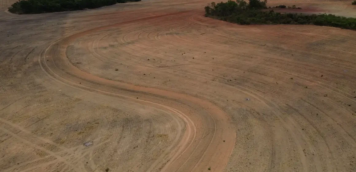 Fim da Moratória da Soja pode ampliar desmatamento na Amazônia em 1,4 milhão de hectares, alerta estudo da Science