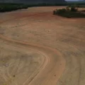 Fim da Moratória da Soja pode ampliar desmatamento na Amazônia em 1,4 milhão de hectares, alerta estudo da Science