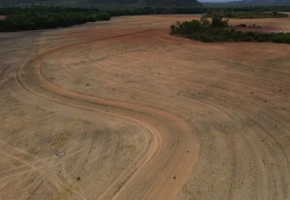 Fim da Moratória da Soja pode ampliar desmatamento na Amazônia em 1,4 milhão de hectares, alerta estudo da Science