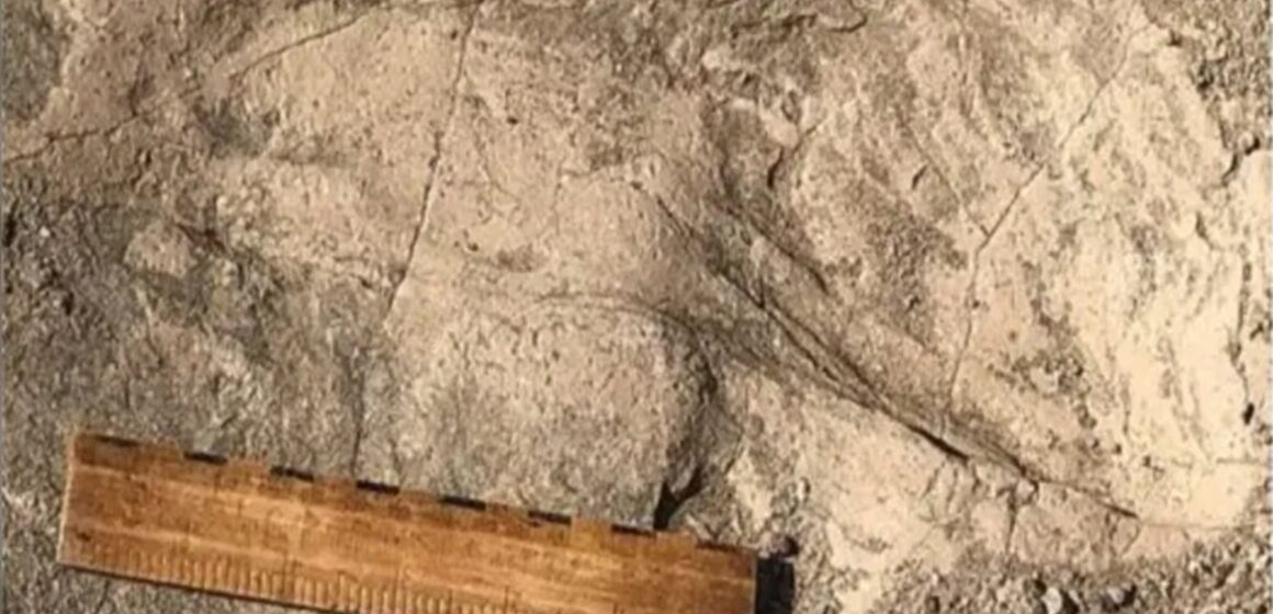 Pegadas de 1,4 milhão de anos revelam dimensões surpreendentes de ancestral humano