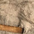 Pegadas de 1,4 milhão de anos revelam dimensões surpreendentes de ancestral humano