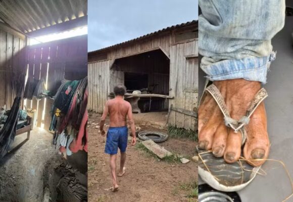 Trabalhador resgatado de escravidão dividia alojamento com porcos e bois no Pará