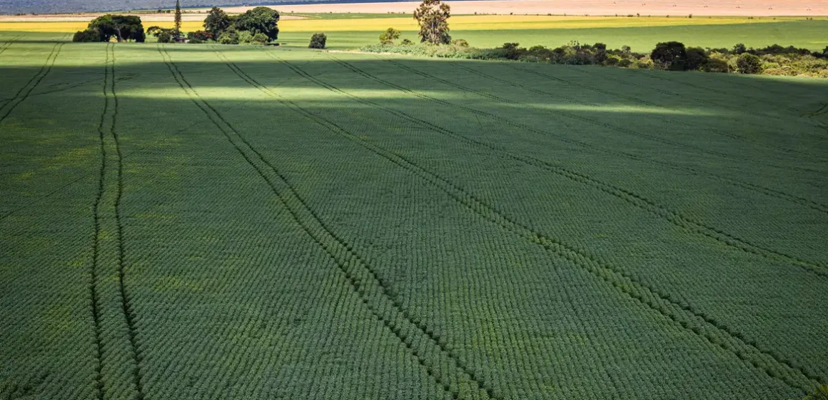 50927545386_dc142e1f64_k (1) Senado aprova Profert para reduzir dependência de fertilizantes importados; projeto segue para sanção