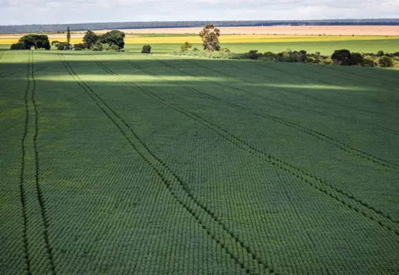 Senado aprova Profert para reduzir dependência de fertilizantes importados; projeto segue para sanção