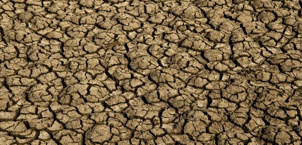 Desertificação no Brasil ameaça segurança hídrica e alimentar de 39 milhões de pessoas; país participa da COP17 na Mongólia