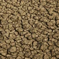 Desertificação no Brasil ameaça segurança hídrica e alimentar de 39 milhões de pessoas; país participa da COP17 na Mongólia