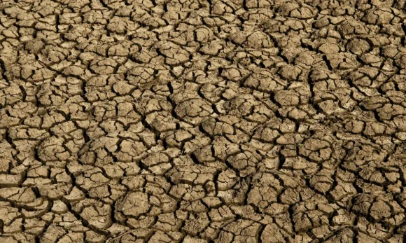Desertificação no Brasil ameaça segurança hídrica e alimentar de 39 milhões de pessoas; país participa da COP17 na Mongólia