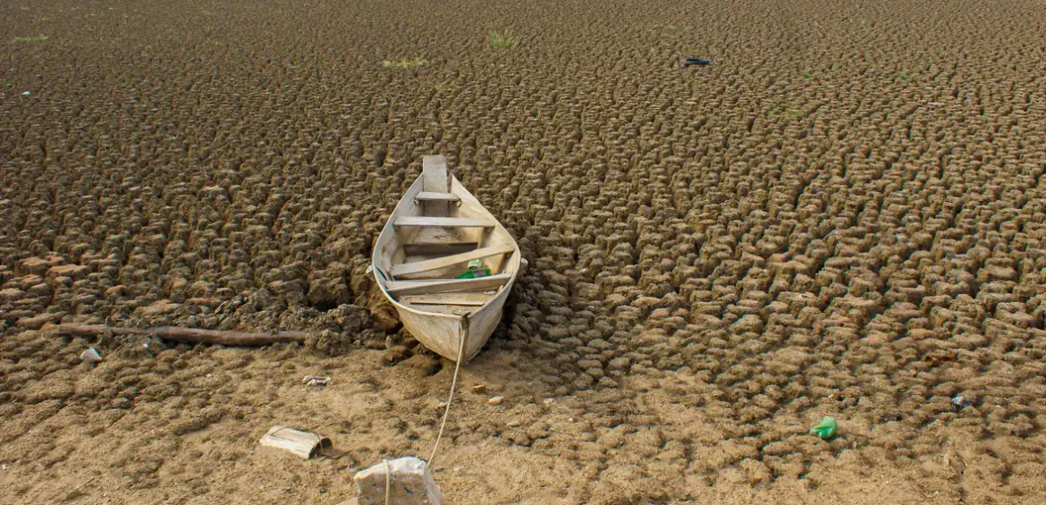 51193516920_577083d428_k Brasil promete recuperar 163 mil km² de áreas degradadas até 2030