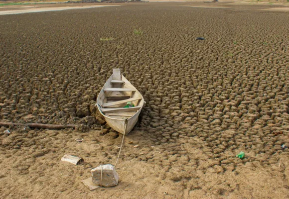 Brasil promete recuperar 163 mil km² de áreas degradadas até 2030
