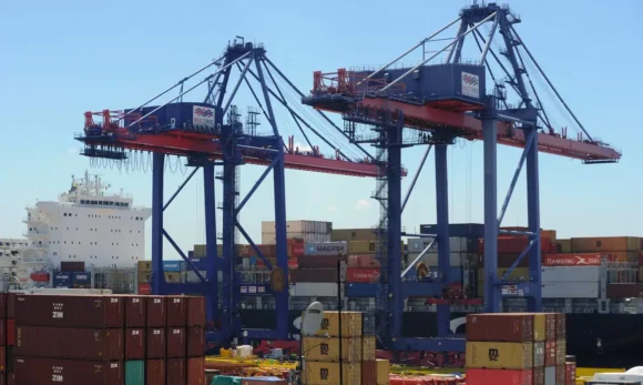 Fiepa aponta que o tarifaço dos EUA impulsiona busca do Pará por novos mercados