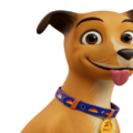 Caramelo do Assaí completa dois anos e convoca pets de clientes para estrelar campanha
