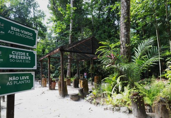 Prefeitura de Belém entrega 12 recintos revitalizados no Bosque Rodrigues Alves em semana de 143 anos