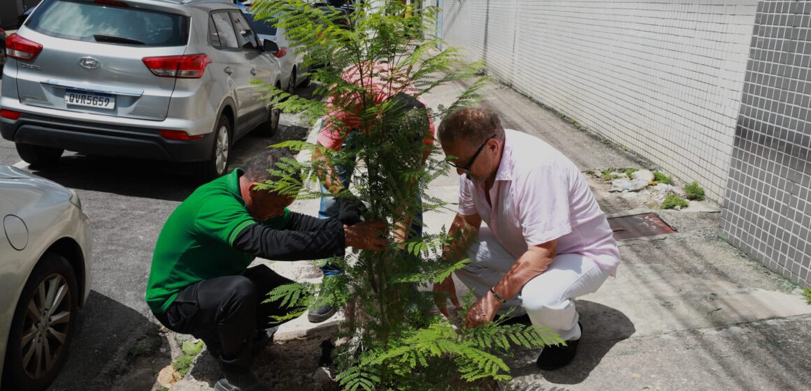 Programa Plante Aqui já plantou 50 mudas em Belém e recebeu 86 solicitações; amor pela cidade inspira moradores