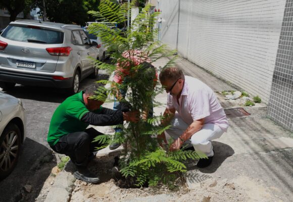 Programa Plante Aqui já plantou 50 mudas em Belém e recebeu 86 solicitações; amor pela cidade inspira moradores