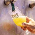 Do malte ao copo: especialistas explicam curiosidades sobre a cerveja que muitos consumidores ainda desconhecem