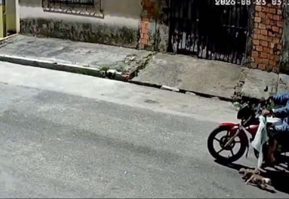 Homem é flagrado abandonando filhotes de cachorro em rua de Belém