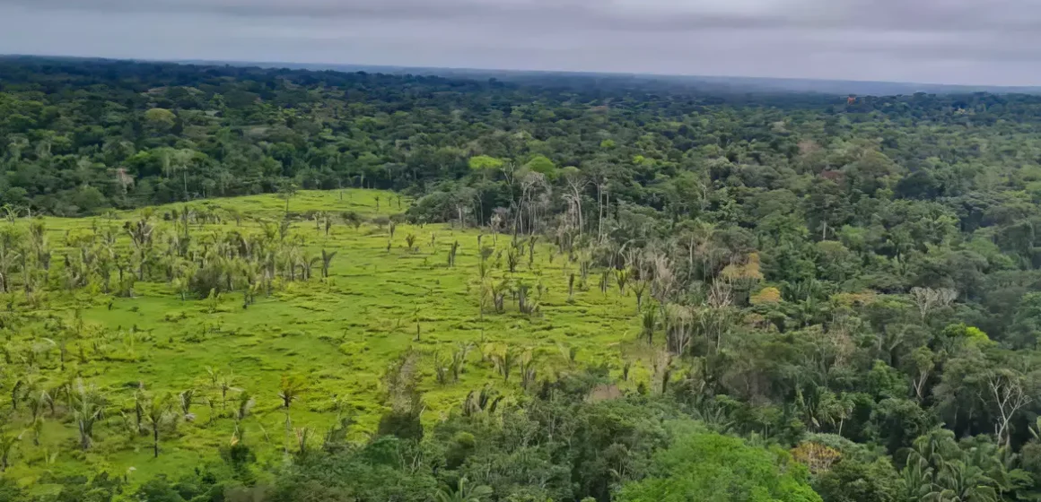Imazon aponta desmatamento zero em 60% das terras indígenas na Amazônia; bioma perdeu 2.702 km² no período