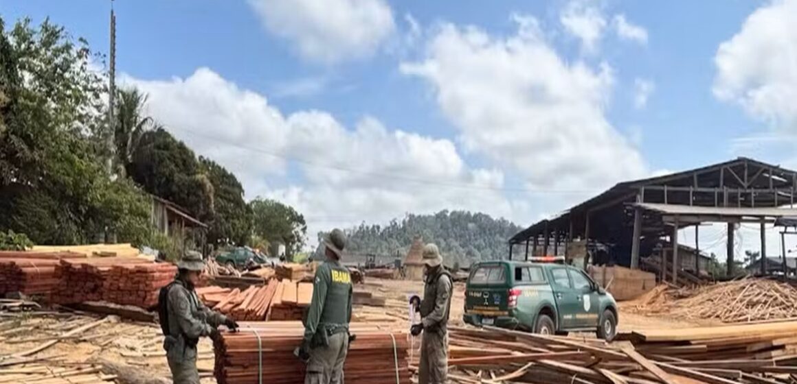 Operação desativa madeireira clandestina que recebia madeira de terra indígena em Uruará