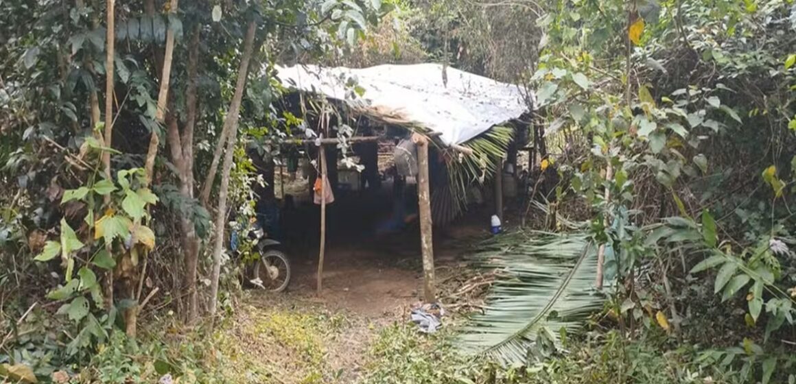 PF investiga invasão em terra indígena com presença de povos isolados no Pará