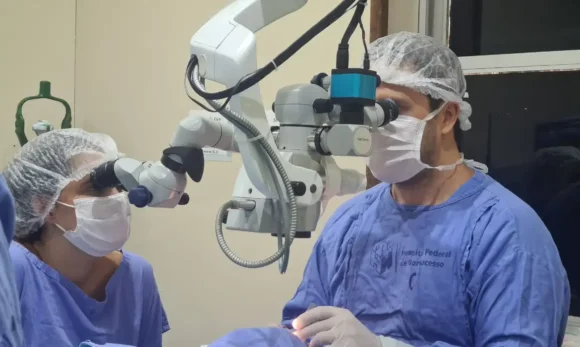 Fila por transplante de córnea no Brasil chega a 37,7 mil pacientes, alta de 24% em seis meses