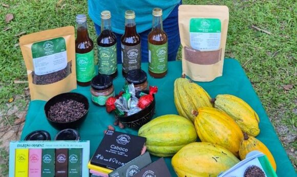 Selo Belém Gastronomia entra na reta final com votação popular