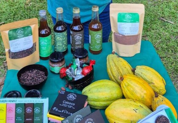 Selo Belém Gastronomia entra na reta final com votação popular