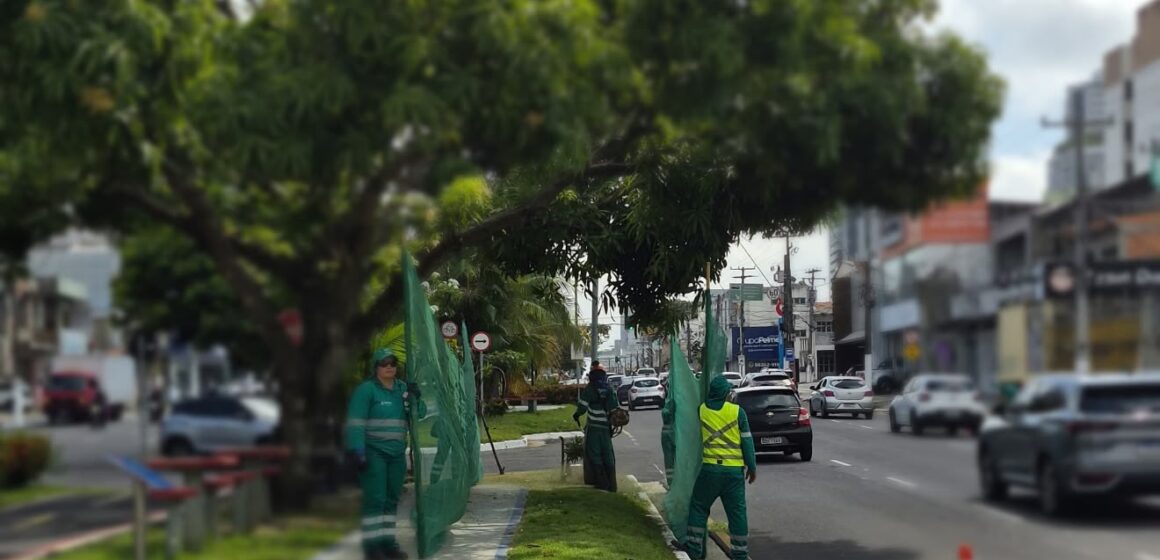 Serviços da Concessionária Belém Limpa atingem 70 km de vias esta semana