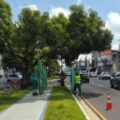 Serviços da Concessionária Belém Limpa atingem 70 km de vias esta semana