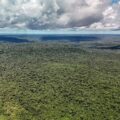 Devastação na Amazônia pode quebrar maior “máquina de chuva” do mundo