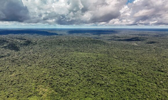 dji_20260514133612_0223_d_55279773377_o Devastação na Amazônia pode quebrar maior “máquina de chuva” do mundo