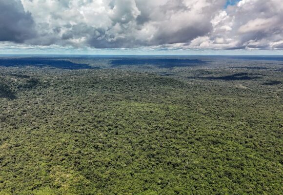 dji_20260514133612_0223_d_55279773377_o Devastação na Amazônia pode quebrar maior “máquina de chuva” do mundo