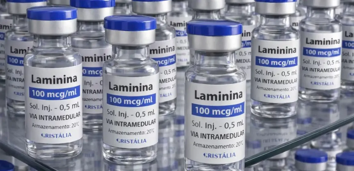 Testes clínicos fase 1 da polilaminina começam este mês