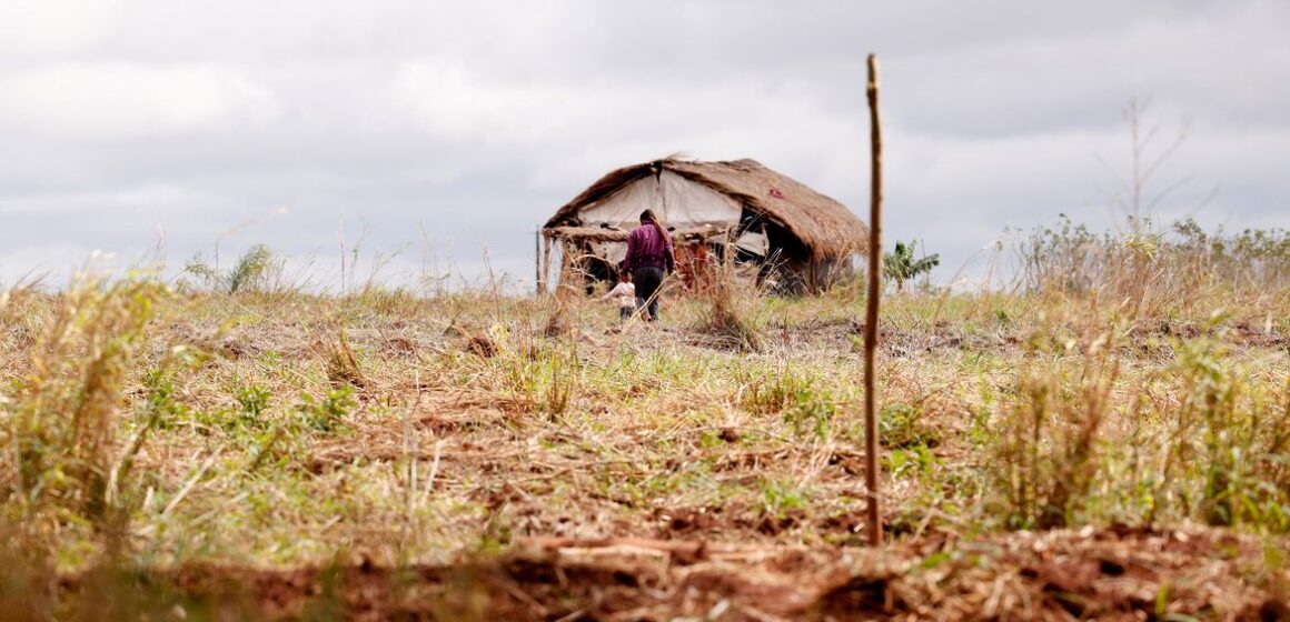 Assassinatos no campo caem de 27 para 6, mas conflitos agrários aumentam 5,4% no 1º semestre de 2026