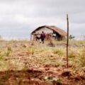 Assassinatos no campo caem de 27 para 6, mas conflitos agrários aumentam 5,4% no 1º semestre de 2026