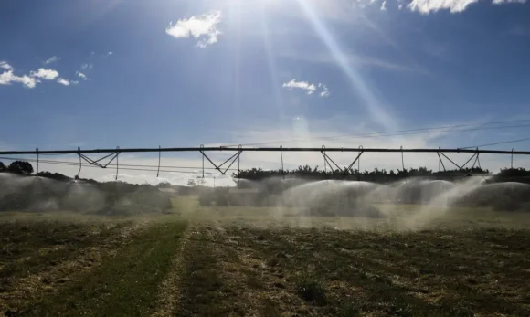 Agronegócio brasileiro tem superávit de US$ 13,49 bilhões em agosto