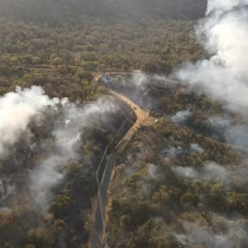 Defesa Civil libera R$ 1,5 milhão para cidades do Pará afetadas por incêndios e chuvas
