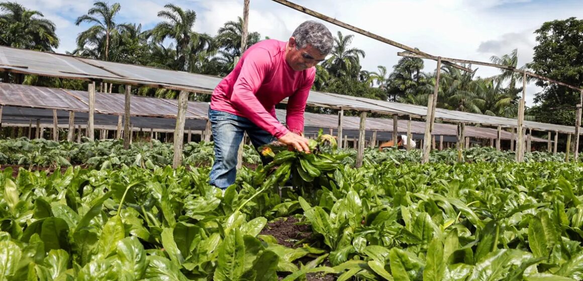 20250221113608-GF00023049-F00379525 PIB do Pará cresce acima do ritmo nacional no segundo trimestre