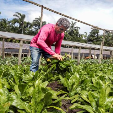 PIB do Pará cresce acima do ritmo nacional no segundo trimestre