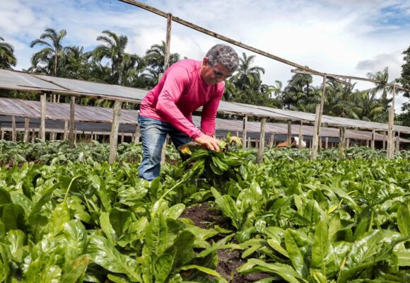 PIB do Pará cresce acima do ritmo nacional no segundo trimestre